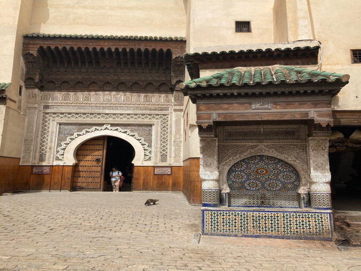 Fes Medina Guided Tour